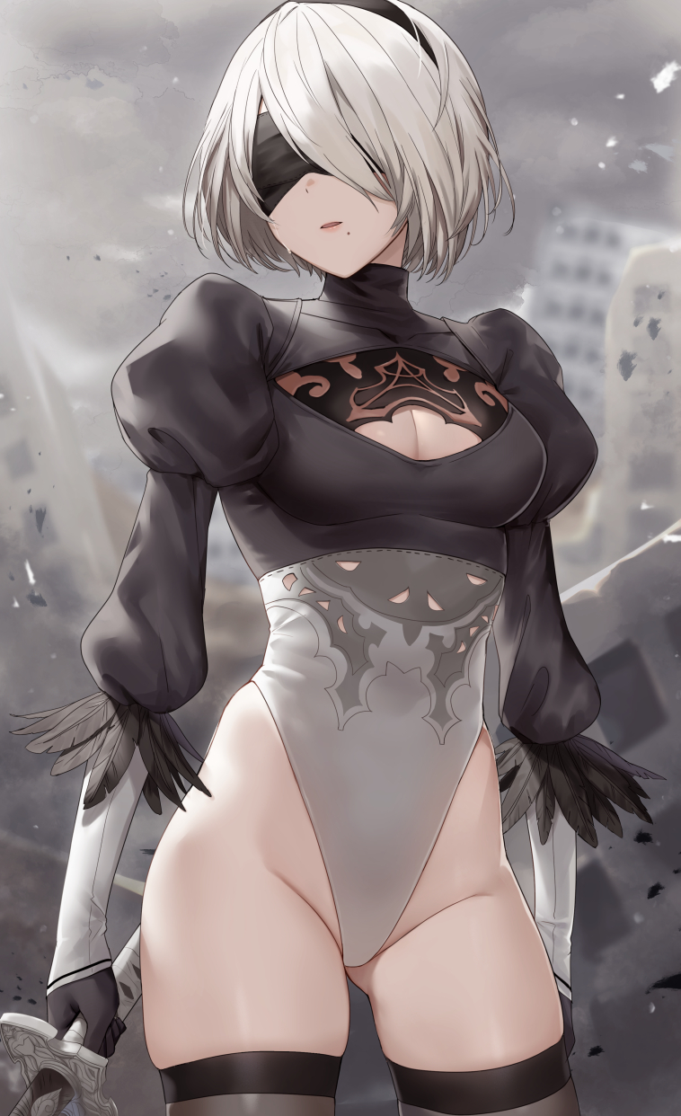 2b (nier and 1 more) drawn by haru_(nakajou-28)