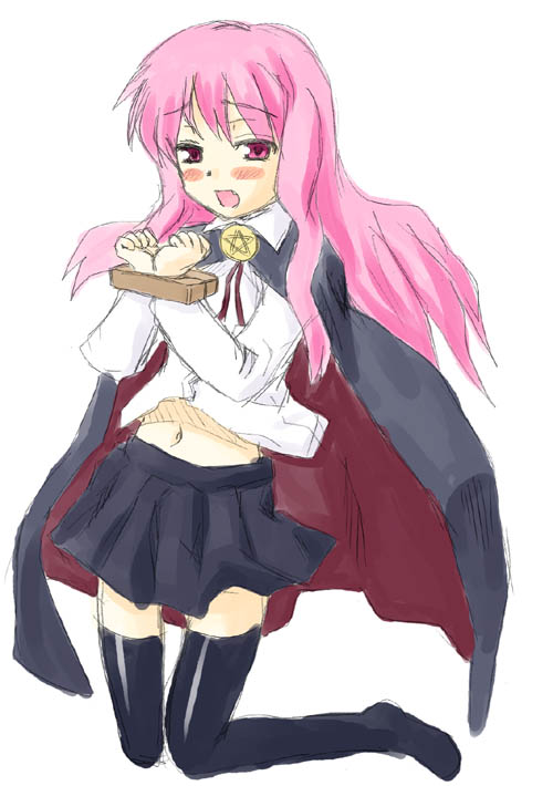 louise francoise le blanc de la valliere (zero no tsukaima) drawn by saizuka_mio