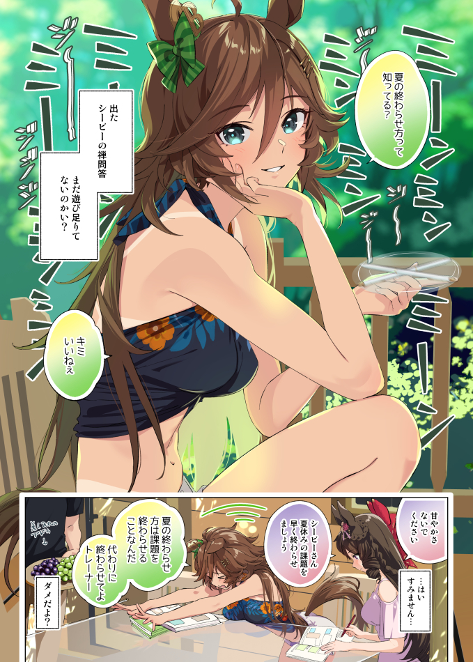 trainer, mr. c.b., and daiichi ruby (umamusume) drawn by taromarun