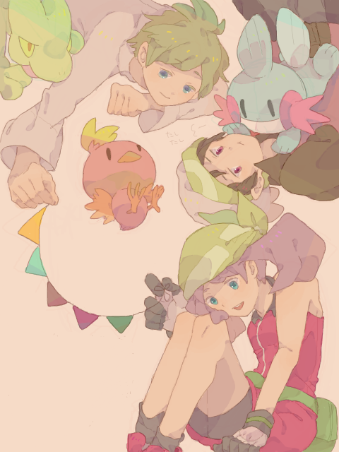 may, brendan, torchic, mudkip, treecko, and 1 more (pokemon and 1 more) drawn by mata_tabi