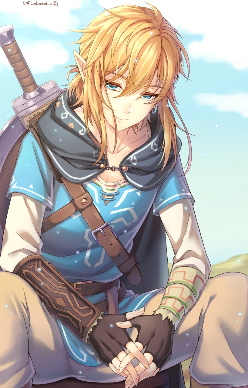 link (the legend of zelda and 1 more) drawn by furofuki_daikon