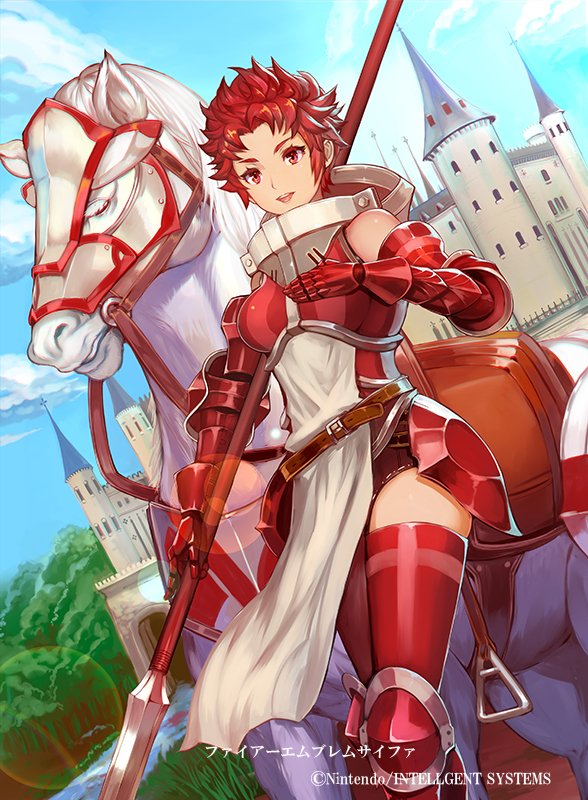 sully (fire emblem and 2 more) drawn by cherokee_(1021tonii)