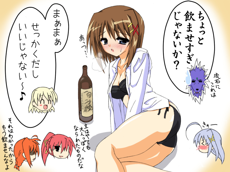 yagami hayate, vita, signum, reinforce zwei, shamal, and 1 more (lyrical nanoha and 1 more)