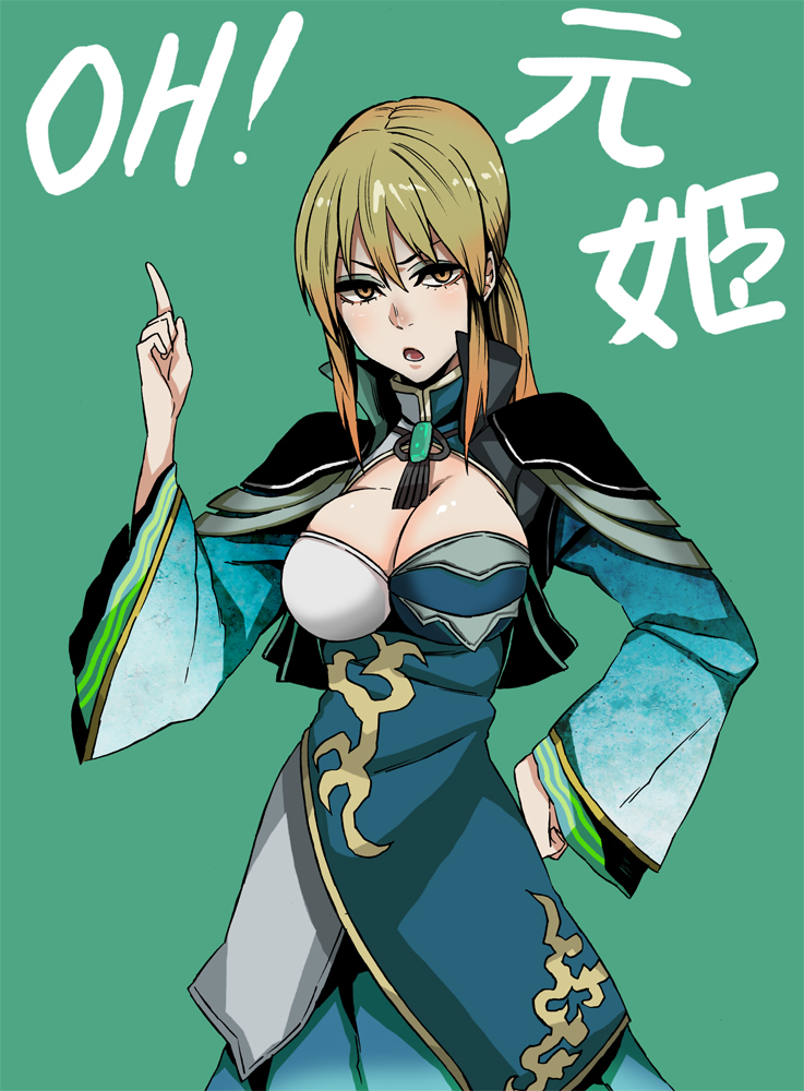 wang yuanji (shin sangoku musou) drawn by iro_marimo