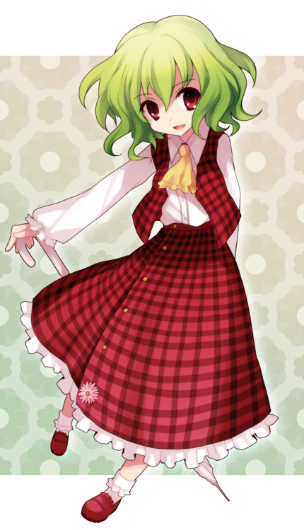 kazami yuuka (touhou) drawn by koto_(colorcube)