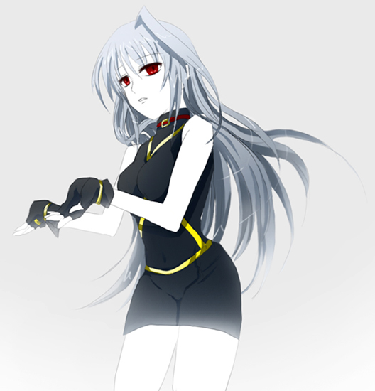 reinforce (lyrical nanoha and 2 more) drawn by 2g50000