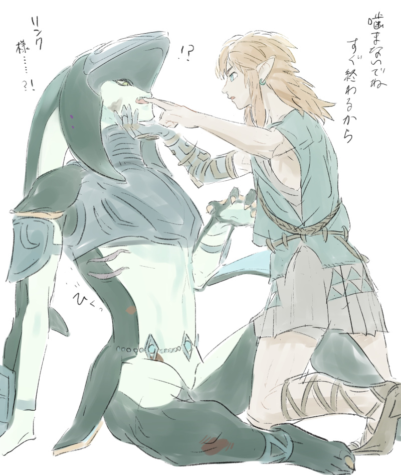 link (the legend of zelda and 1 more) drawn by loznsfw