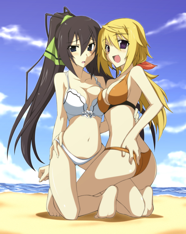 charlotte dunois and shinonono houki (infinite stratos) drawn by haoto_luna