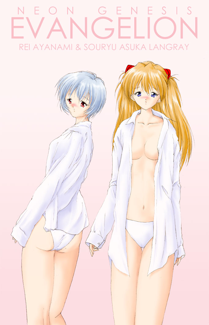 souryuu asuka langley and ayanami rei (neon genesis evangelion)