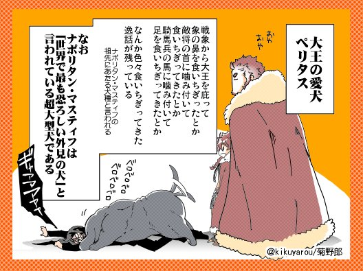 iskandar, waver velvet, lord el-melloi ii, and alexander (fate and 1 more) drawn by kikuyarou