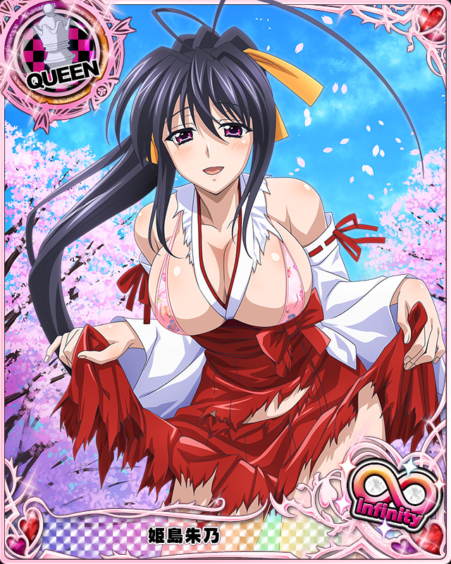 himejima akeno (high school dxd and 1 more)