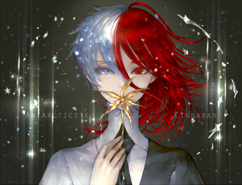 cinnabar and antarcticite (houseki no kuni) drawn by akubi_(fyfy)