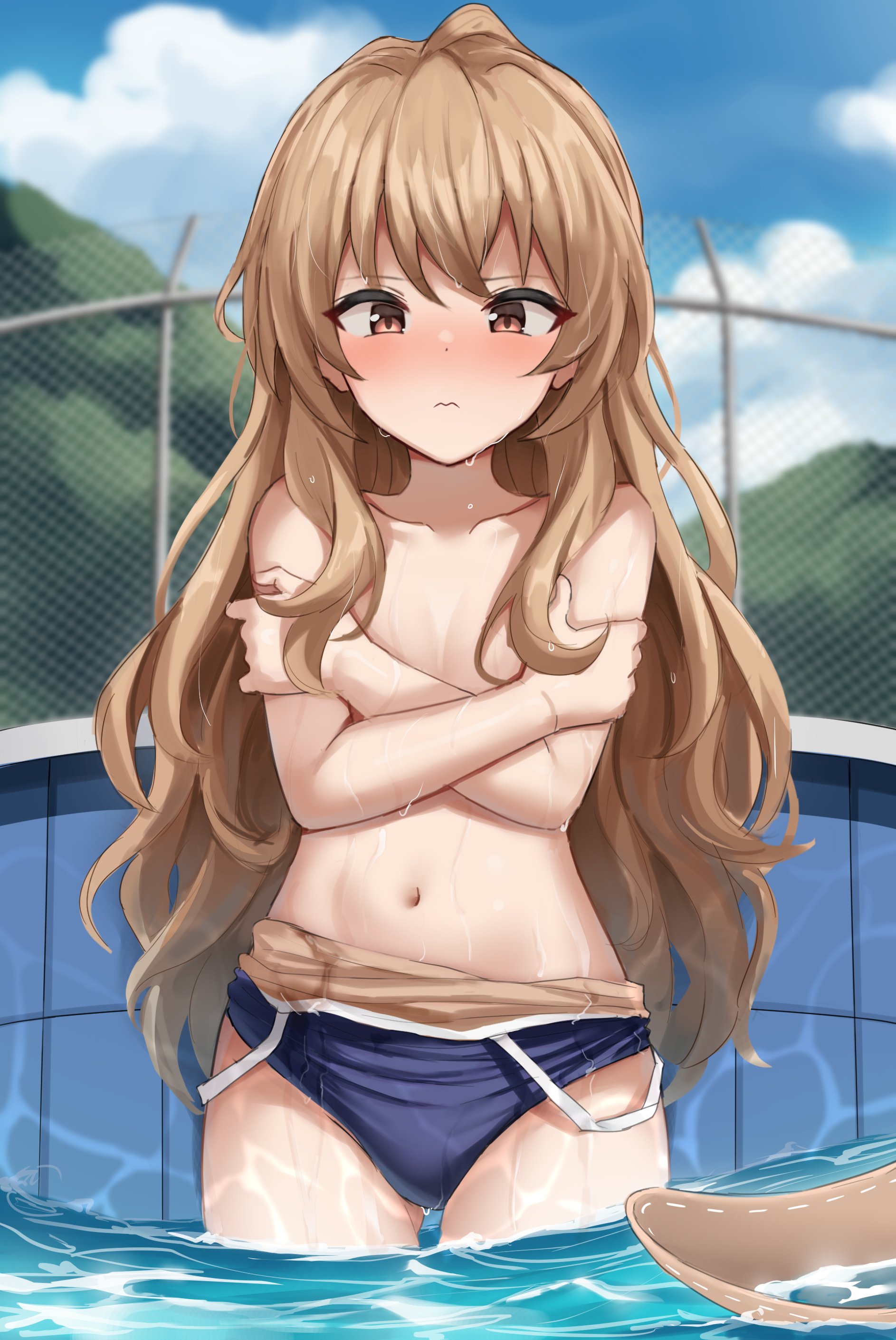aisaka taiga (toradora!) drawn by shengtian | Danbooru