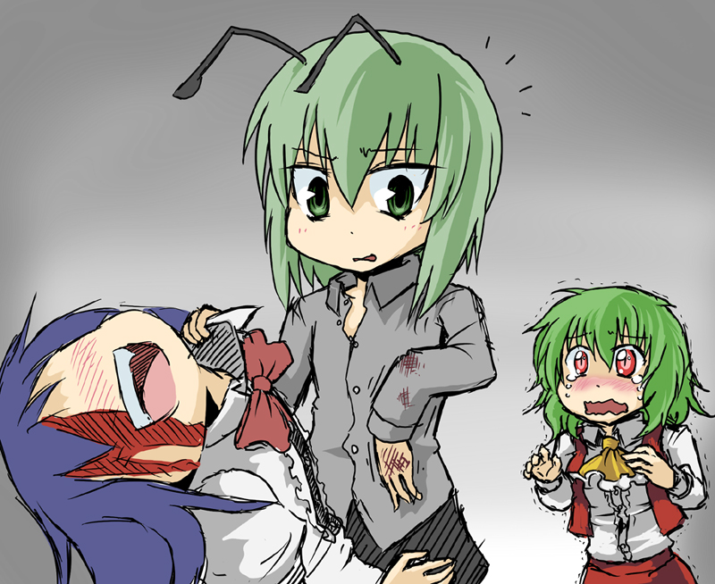 kazami yuuka, hinanawi tenshi, and wriggle nightbug (touhou) drawn by kujira_lorant