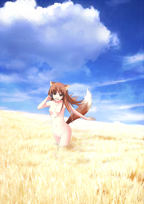 holo (spice and wolf) drawn by wander_(cordabyss)