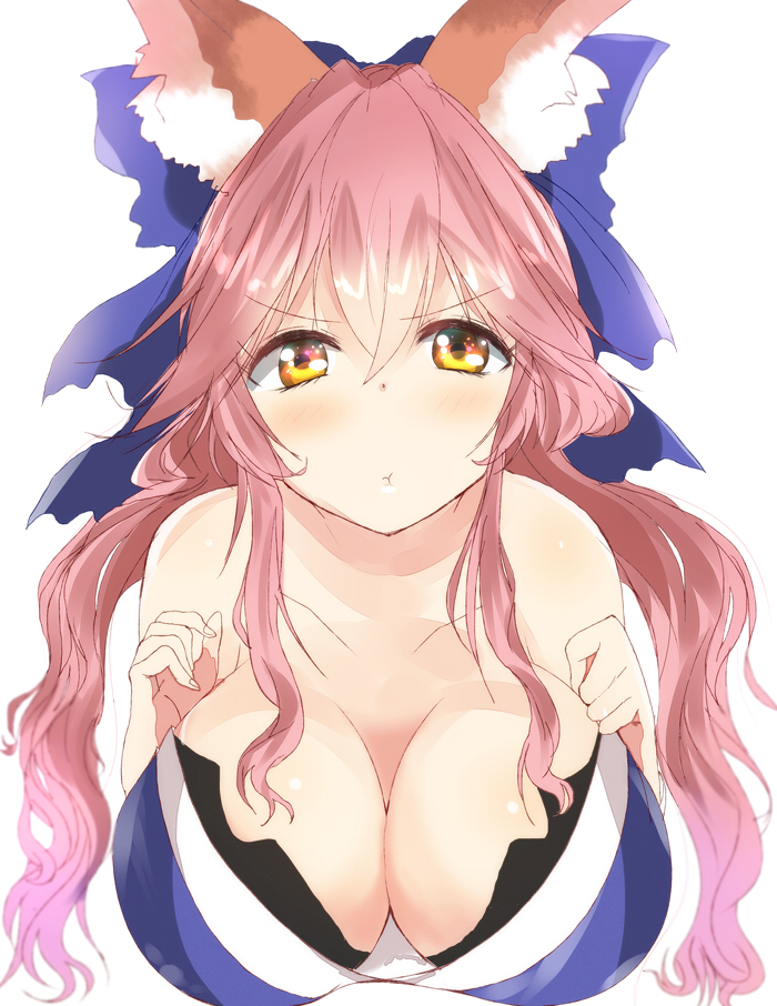 tamamo and tamamo no mae (fate and 1 more) drawn by haru_(nature_life)