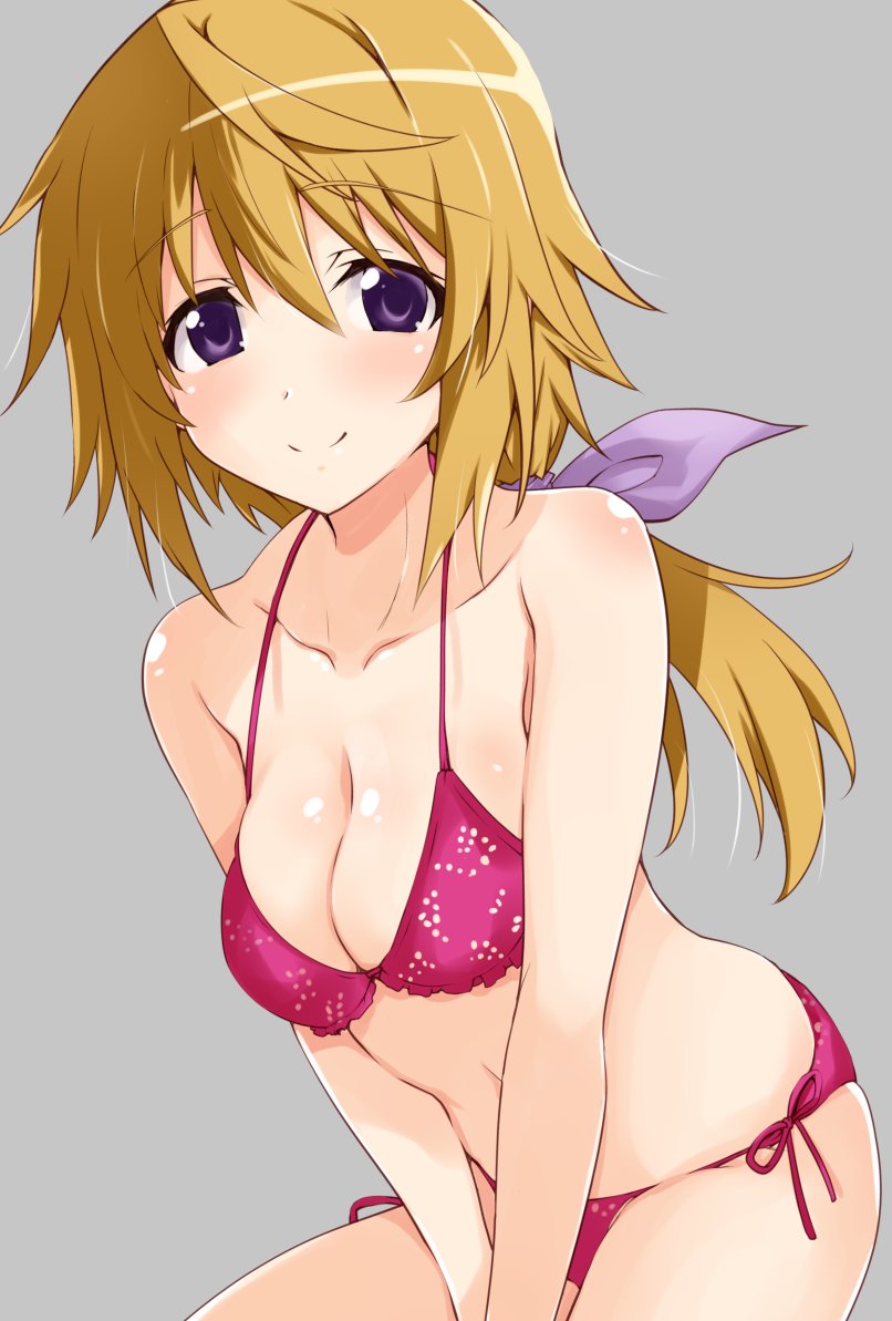 charlotte dunois (infinite stratos) drawn by iwashi_dorobou_-r-