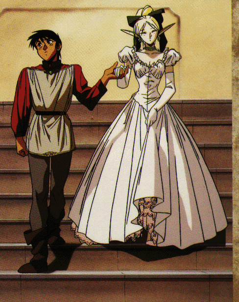 deedlit (record of lodoss war) drawn by yuuki_nobuteru