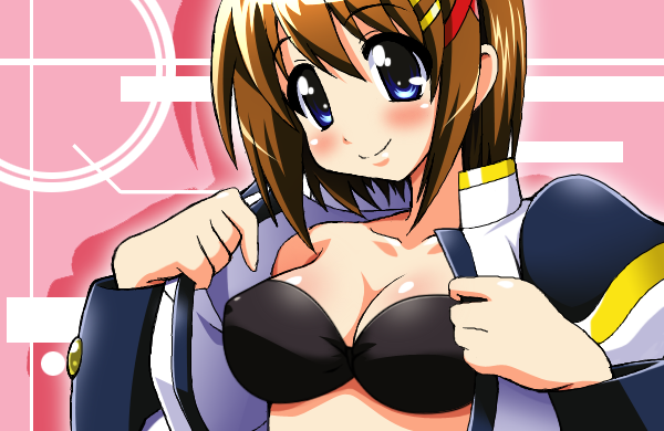 yagami hayate (lyrical nanoha and 2 more) drawn by chirorian