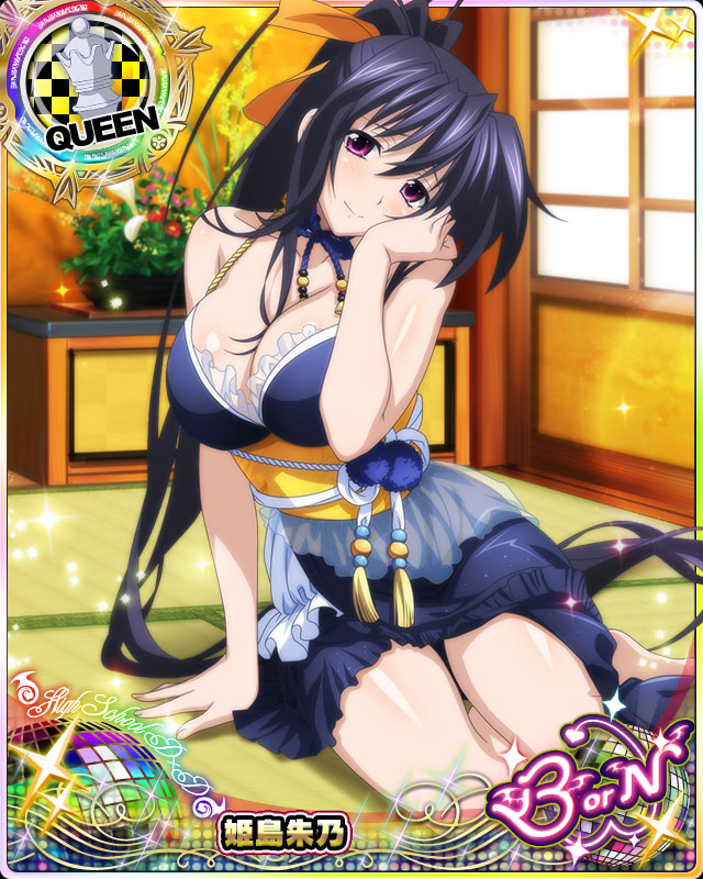 himejima akeno (high school dxd and 1 more)