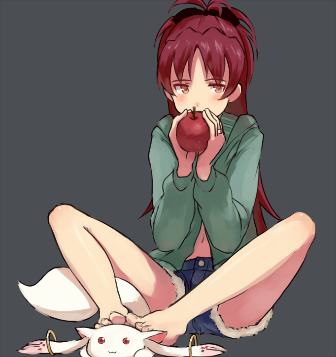 sakura kyoko and kyubey (mahou shoujo madoka magica) drawn by shibafu_(glock23)