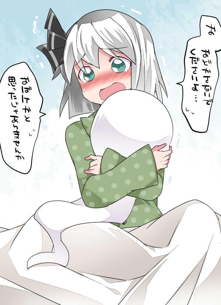 konpaku youmu (touhou) drawn by hammer_(sunset_beach)