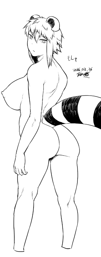 araiguma-san (original) drawn by tsukudani_(coke-buta)