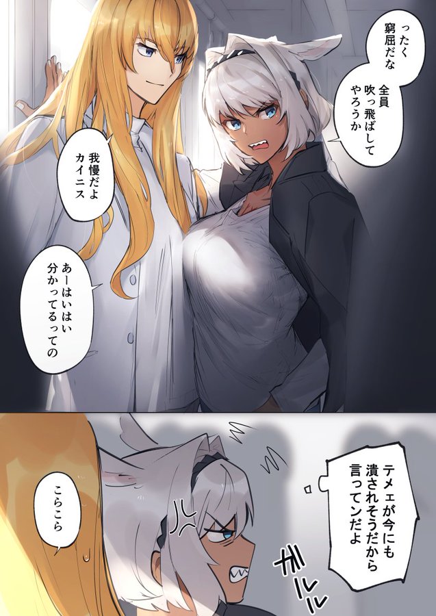 caenis and kirschtaria wodime (fate and 1 more) drawn by sabamori