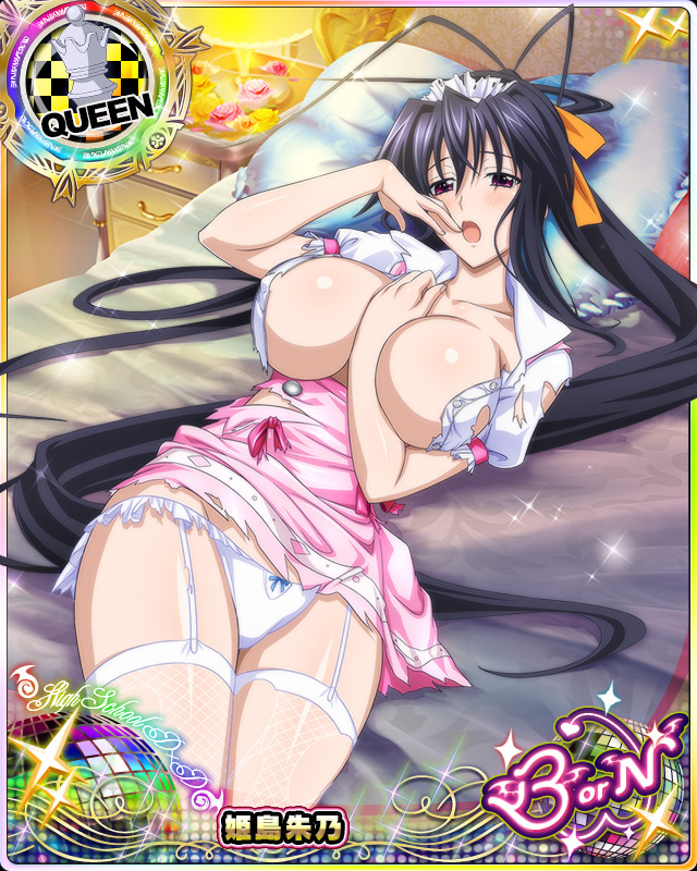 himejima akeno (high school dxd and 1 more)