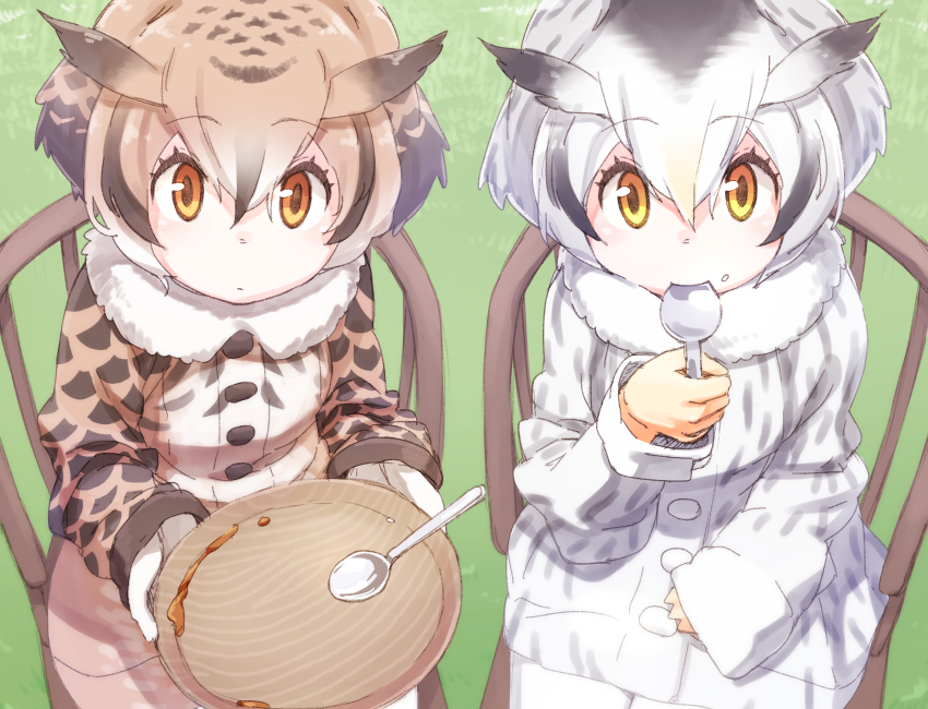 northern white-faced owl and eurasian eagle owl (kemono friends) drawn by mochi_(mochi444420)