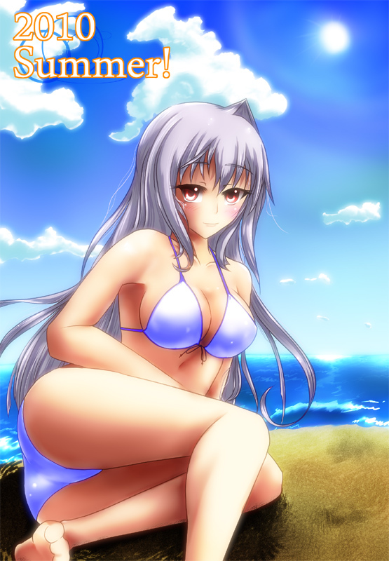reinforce (lyrical nanoha and 2 more) drawn by frey