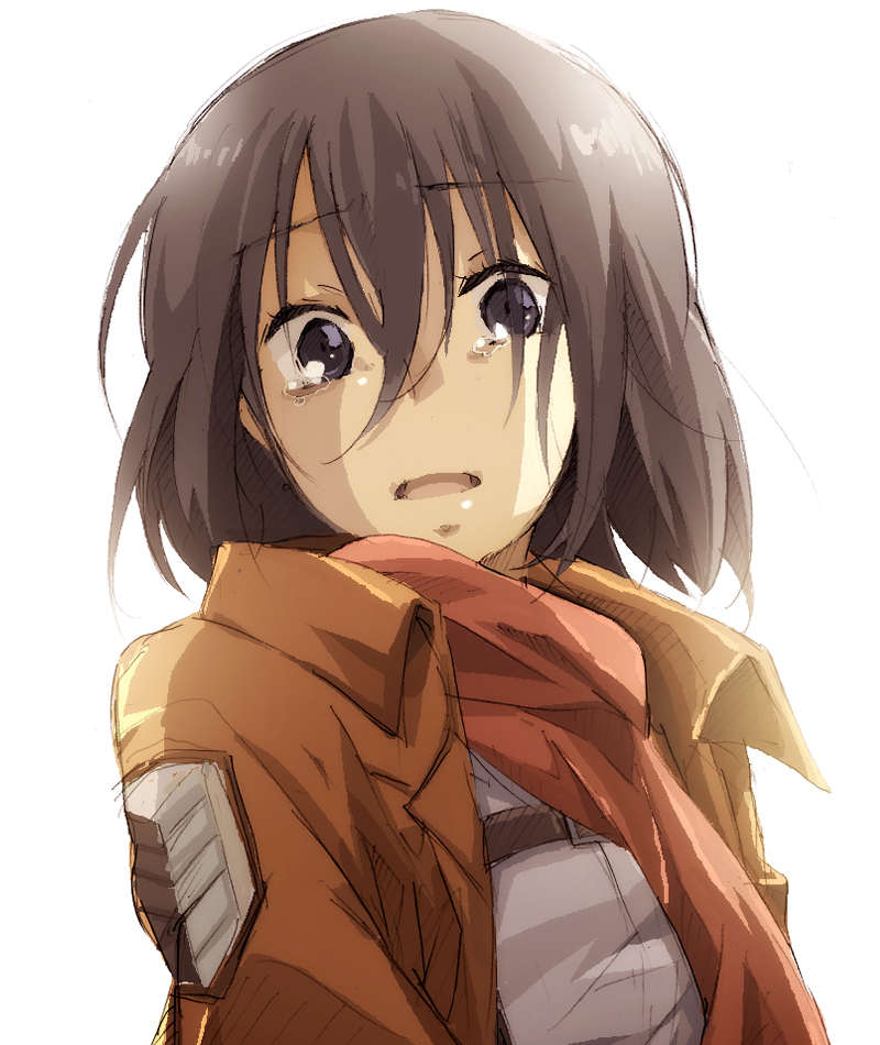 mikasa ackerman (shingeki no kyojin) drawn by omoteno_kaba