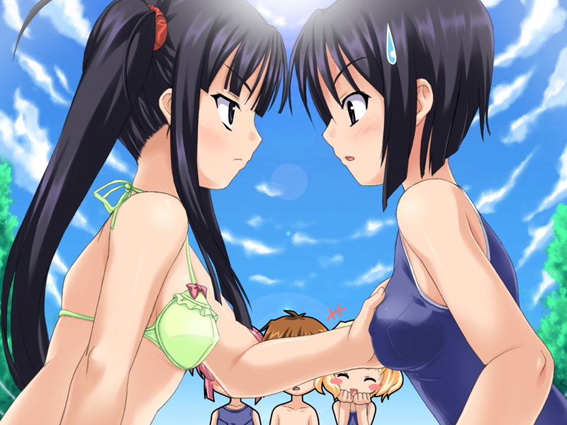 ooshio natsumi, miimori chinatsu, togariishi koharu, and takada aki (ninkyou hana otome) drawn by souryuu_(double_dragon)