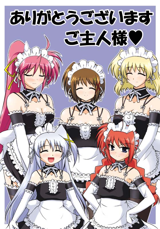 yagami hayate, vita, signum, reinforce zwei, and shamal (lyrical nanoha and 3 more)