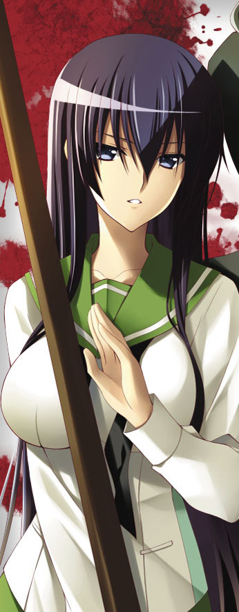 busujima saeko (highschool of the dead) drawn by zinno