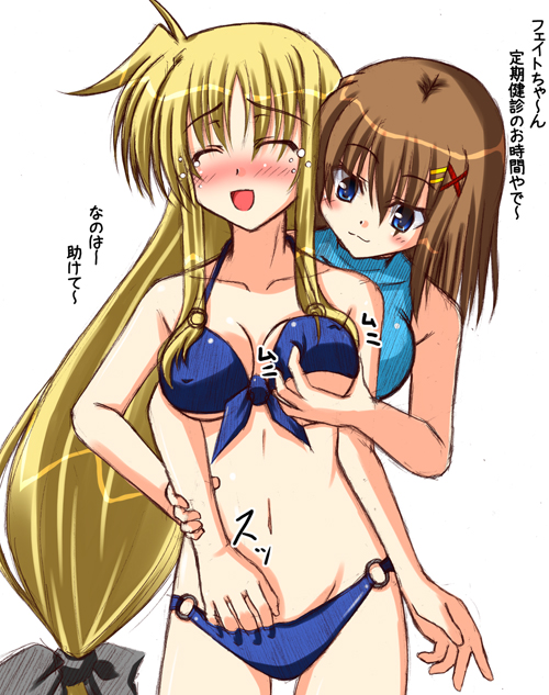 fate testarossa and yagami hayate (lyrical nanoha and 1 more)