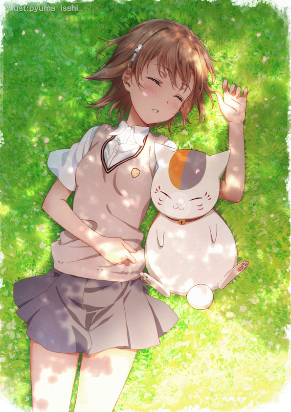 misaka mikoto and nyanko-sensei (toaru majutsu no index and 2 more) drawn by isshi_pyuma
