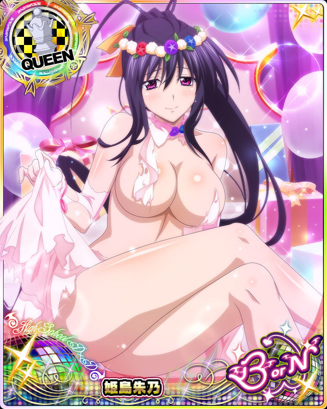 himejima akeno (high school dxd and 1 more)