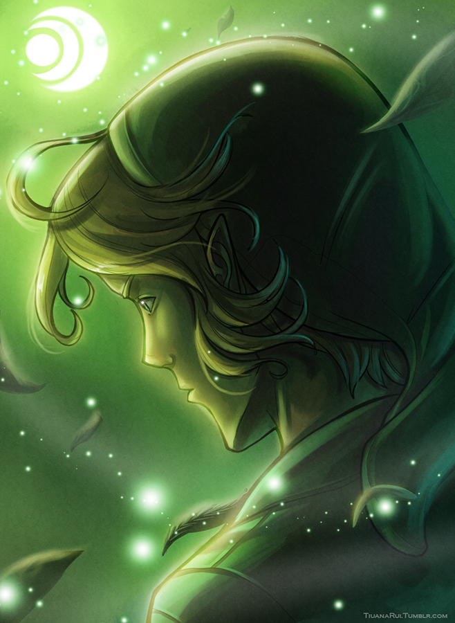 link and young link (the legend of zelda and 1 more) drawn by tiuana_rui