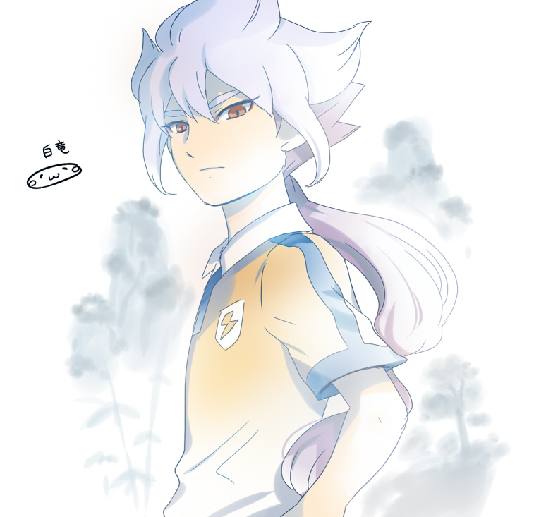 hakuryuu (inazuma eleven and 2 more) drawn by mizuhara_aki