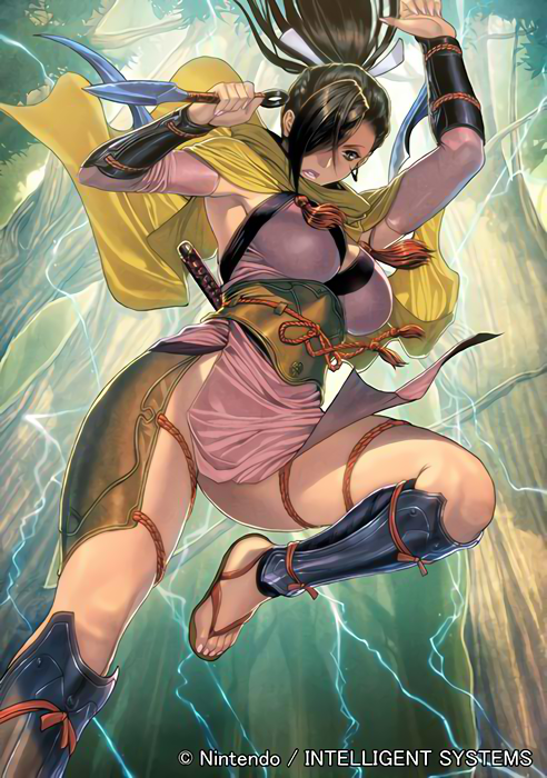 kagero (fire emblem and 2 more) drawn by homare_(fool's_art)