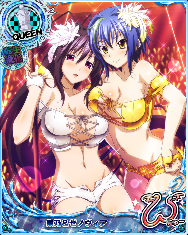 himejima akeno and xenovia quarta (high school dxd and 1 more)