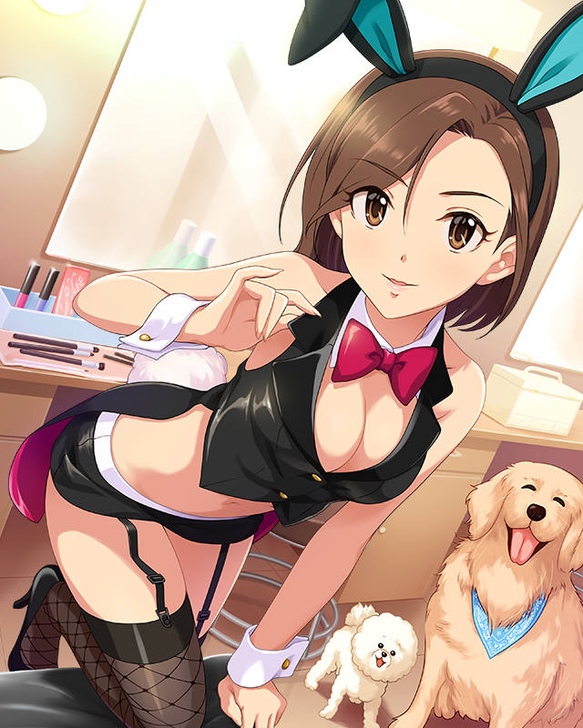 mizuki seira, akky, and wanko (idolmaster and 1 more)