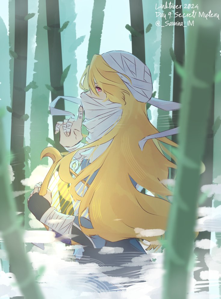 sheik (the legend of zelda and 1 more) drawn by samira_im