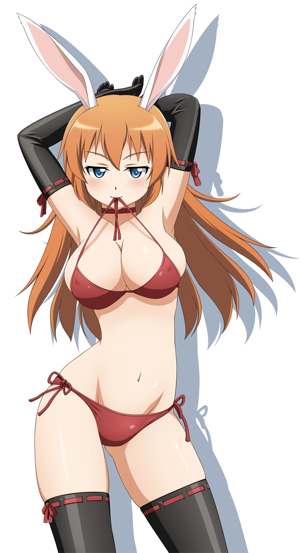 charlotte e. yeager (world witches series and 3 more)