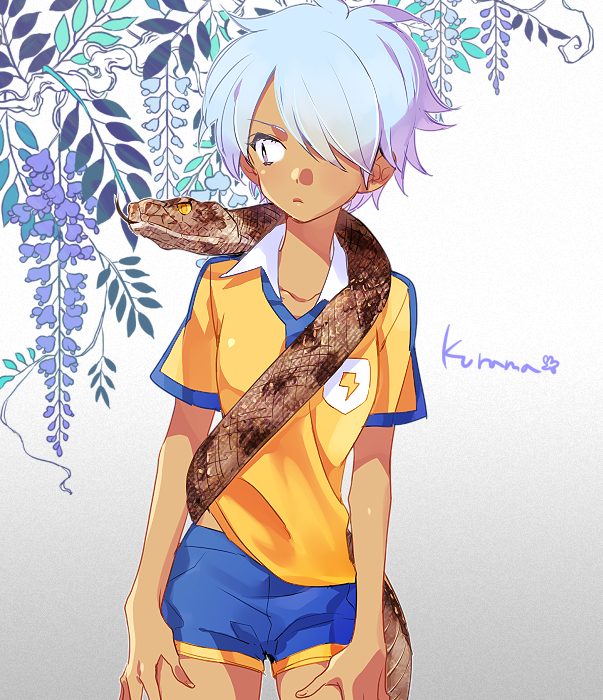 kurama norihito (inazuma eleven go and 1 more) drawn by hoochi_(tulipdara)