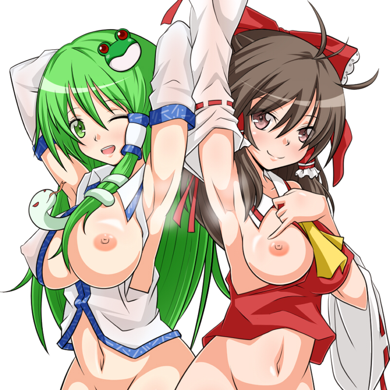 hakurei reimu and kochiya sanae (touhou) drawn by yuu->_(macro)