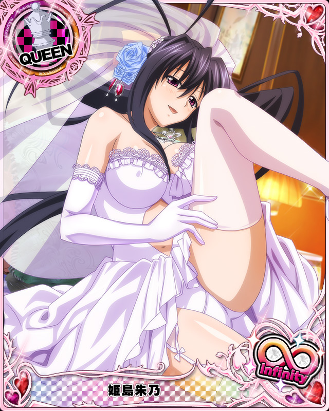 himejima akeno (high school dxd and 1 more)