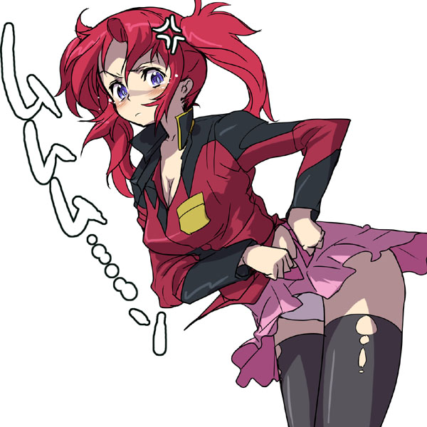 lunamaria hawke and meyrin hawke (gundam and 2 more) drawn by akaga_hirotaka