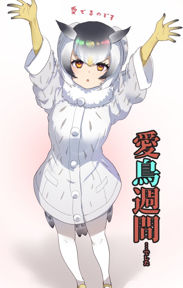 northern white-faced owl (kemono friends) drawn by tadano_magu